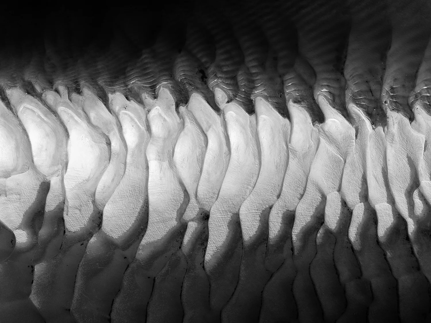 High-contrast black and white shot of repeating sand dunes and ripples, illuminated to look like a skeletal spine.