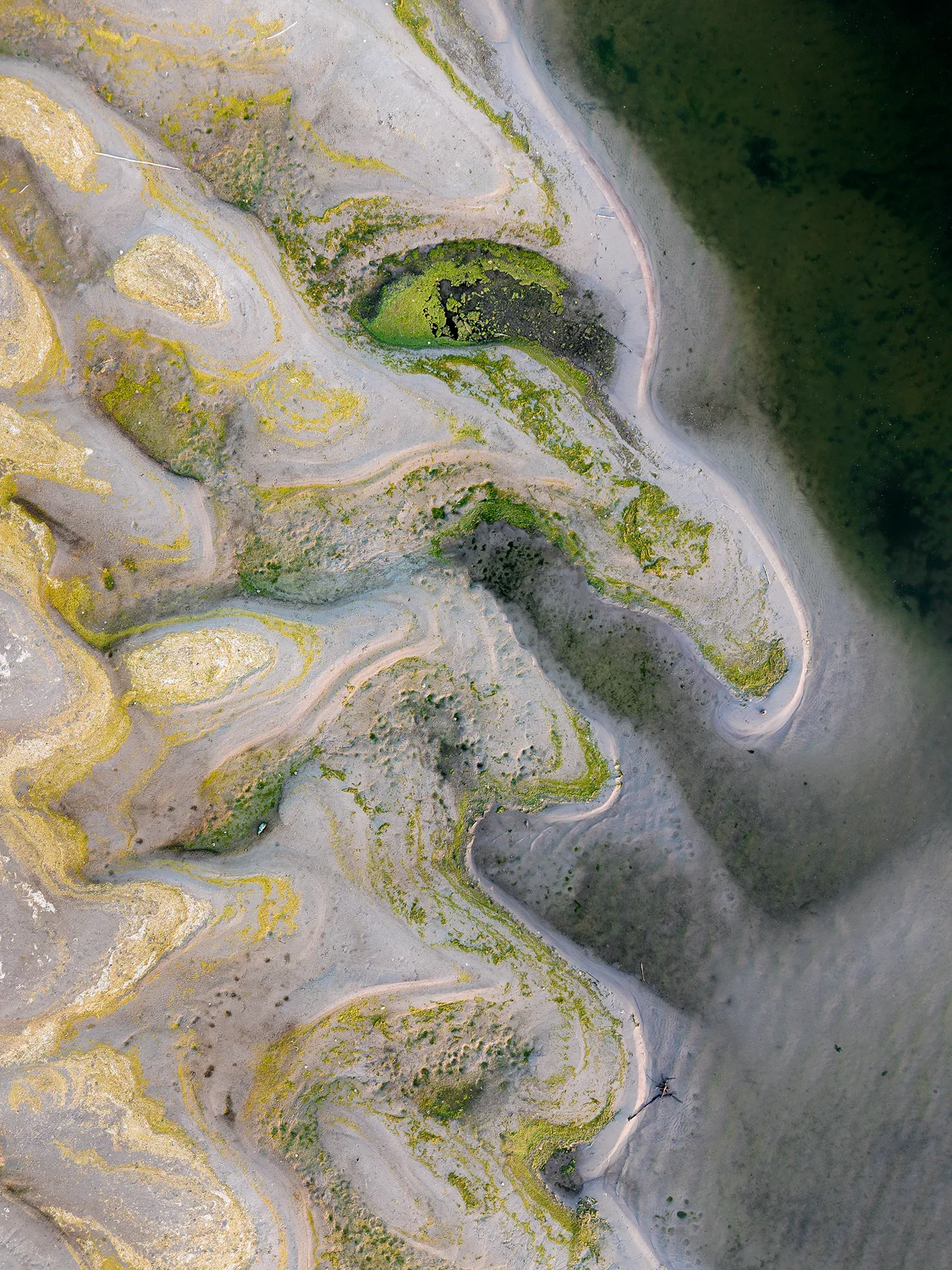 Abstract drone shot of a green and sandy Danube riverbed formation.