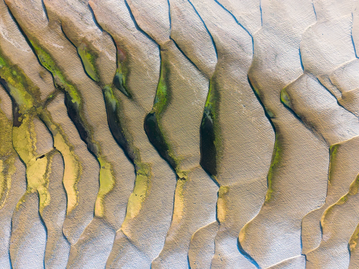 Sculpted by the Danube II